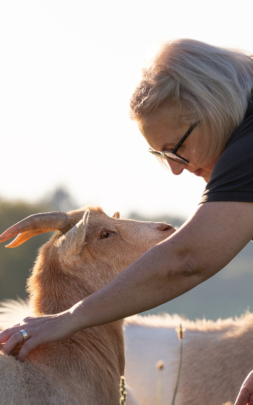 Daniela Lichtmeß - Tiergesundheit aus eigener Kraft